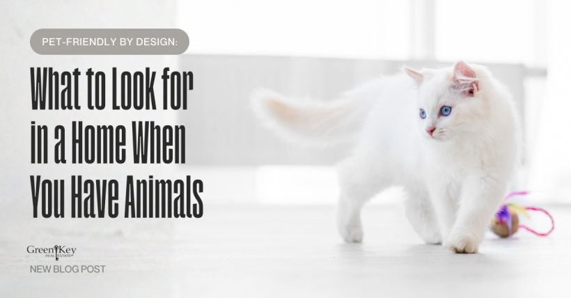 Pet-Friendly by Design: What to Look for in a Home When You Have Animals